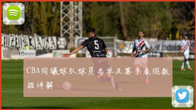 CBA同曦球队球员名单及赛季表现数据详解