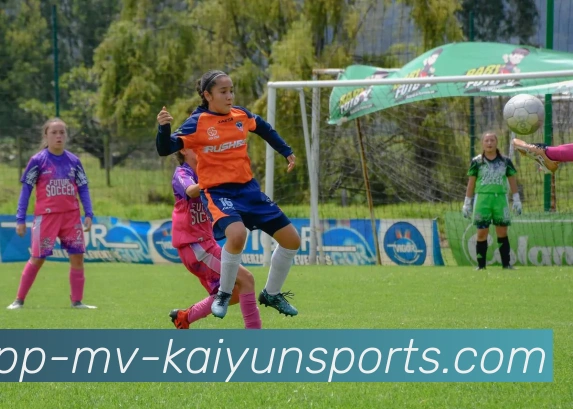 开云体育品牌故事