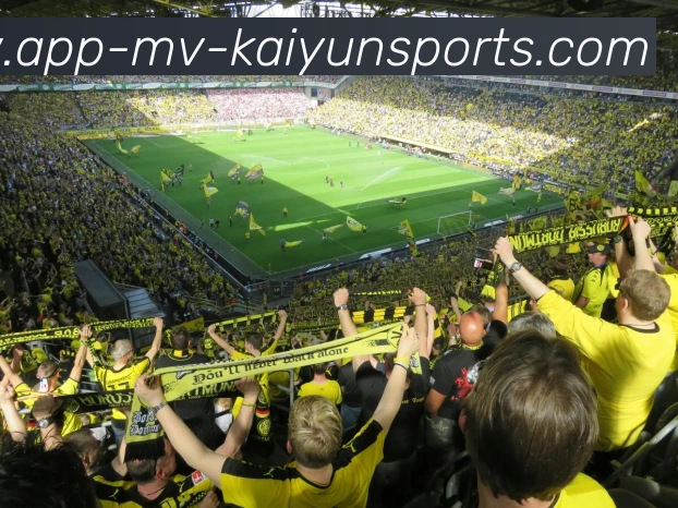 开云体育服务体系